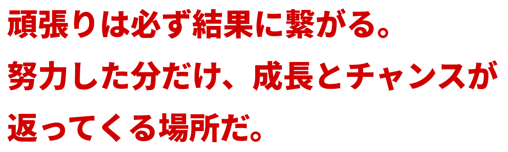頑張りは必ず結果に繋がる。努力した分だけ、成長とチャンスが返ってくる場所だ。